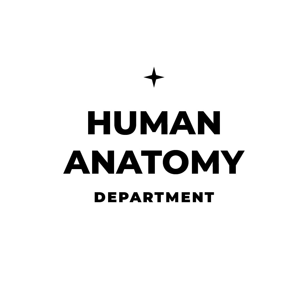 Anatomy Series