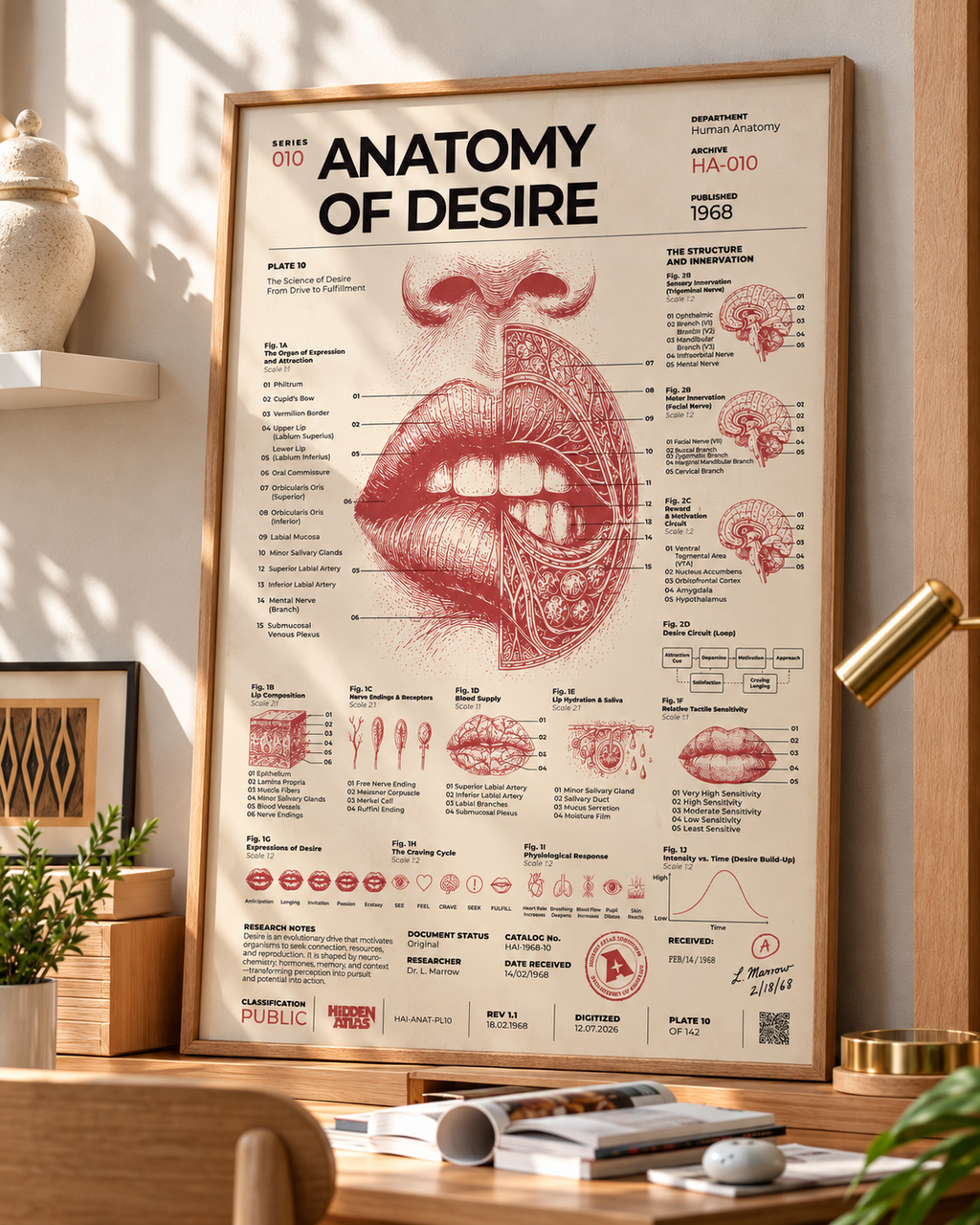 Close-up of Anatomy of Desire framed poster showing the mouth and lips illustration
