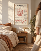 Hidden Atlas lifestyle interior visualization