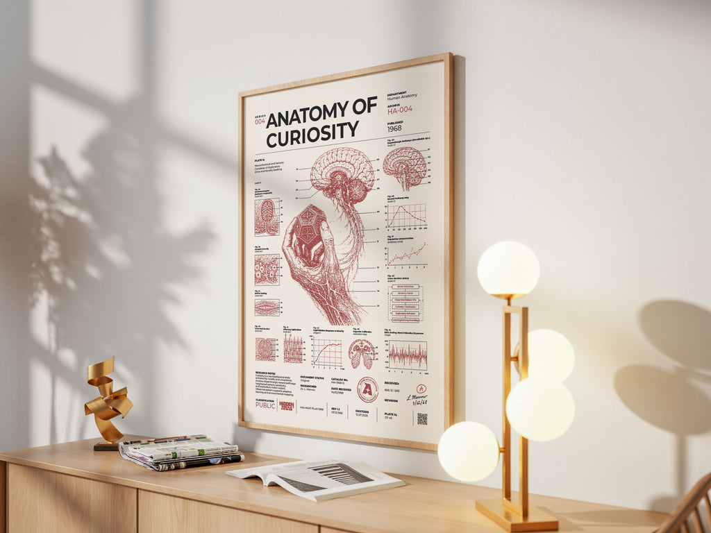 Anatomy of Curiosity framed poster in a styled interior