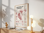 Anatomy of Curiosity framed poster in a styled interior