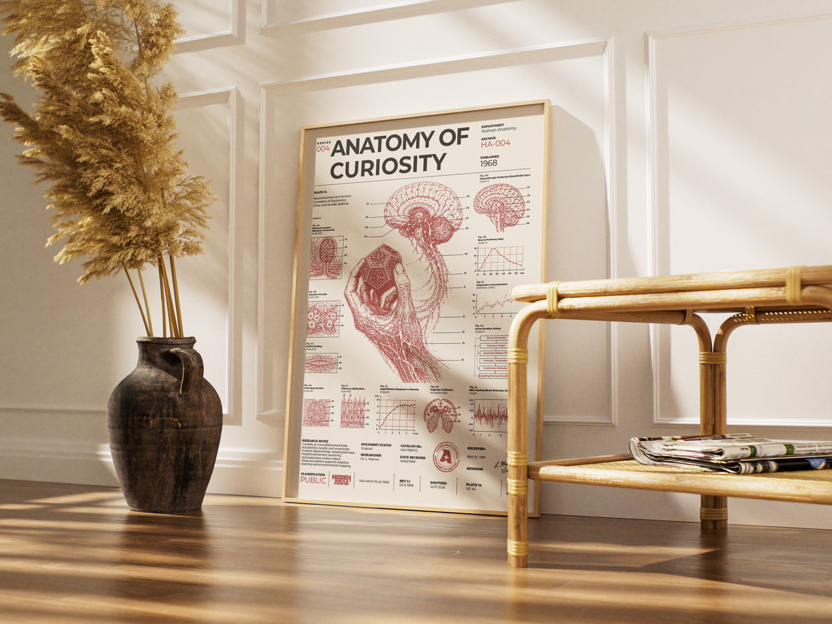 ANATOMY OF CURIOSITY