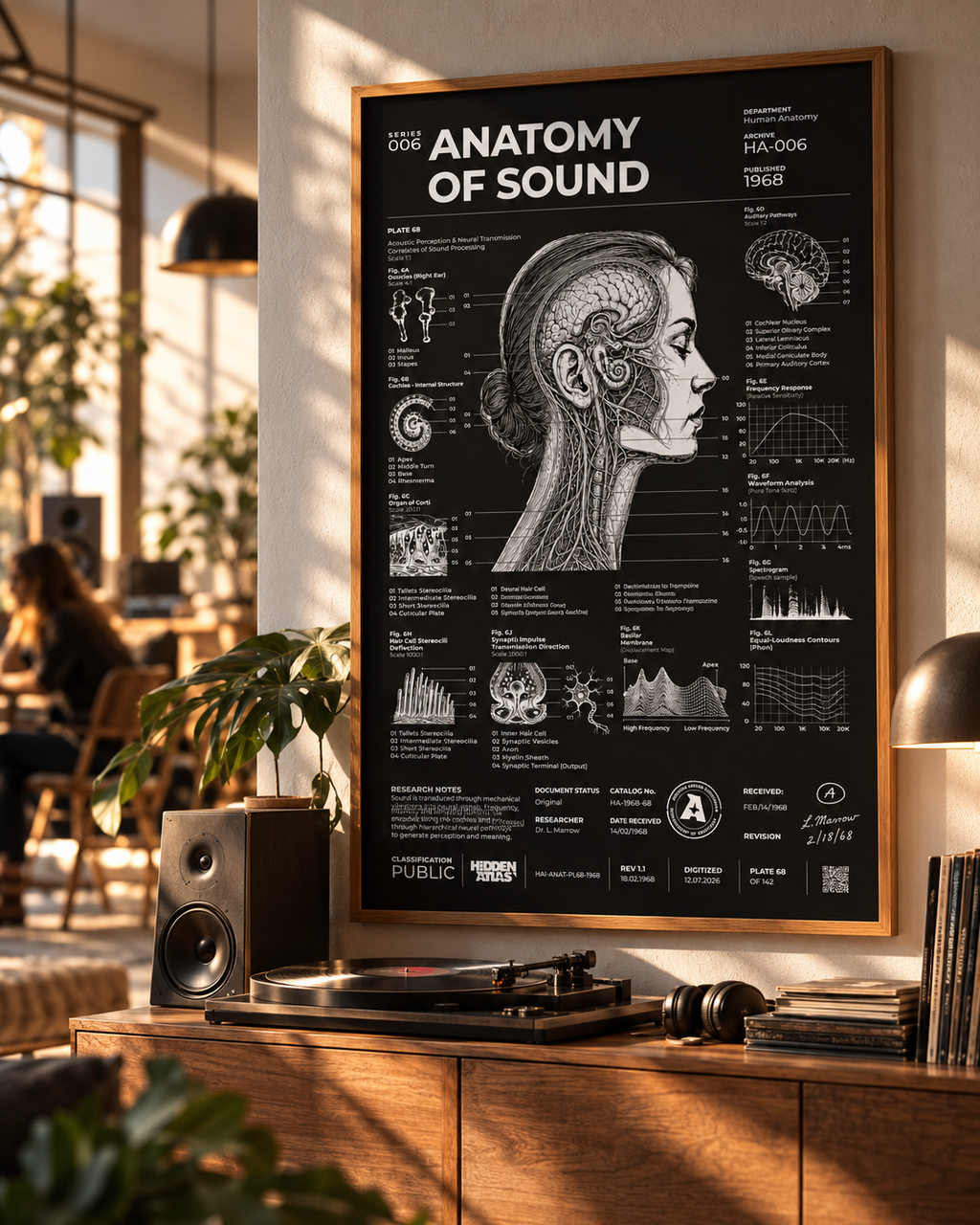 Hidden Atlas lifestyle interior visualization