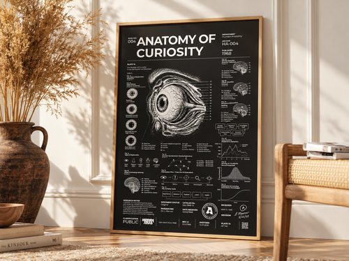 Anatomy of Curiosity — Eye Study — Negative Edition framed poster in a sunlit interior