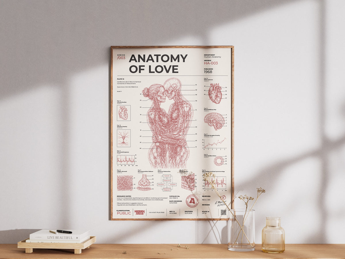 Anatomy of Love framed poster in a modern interior