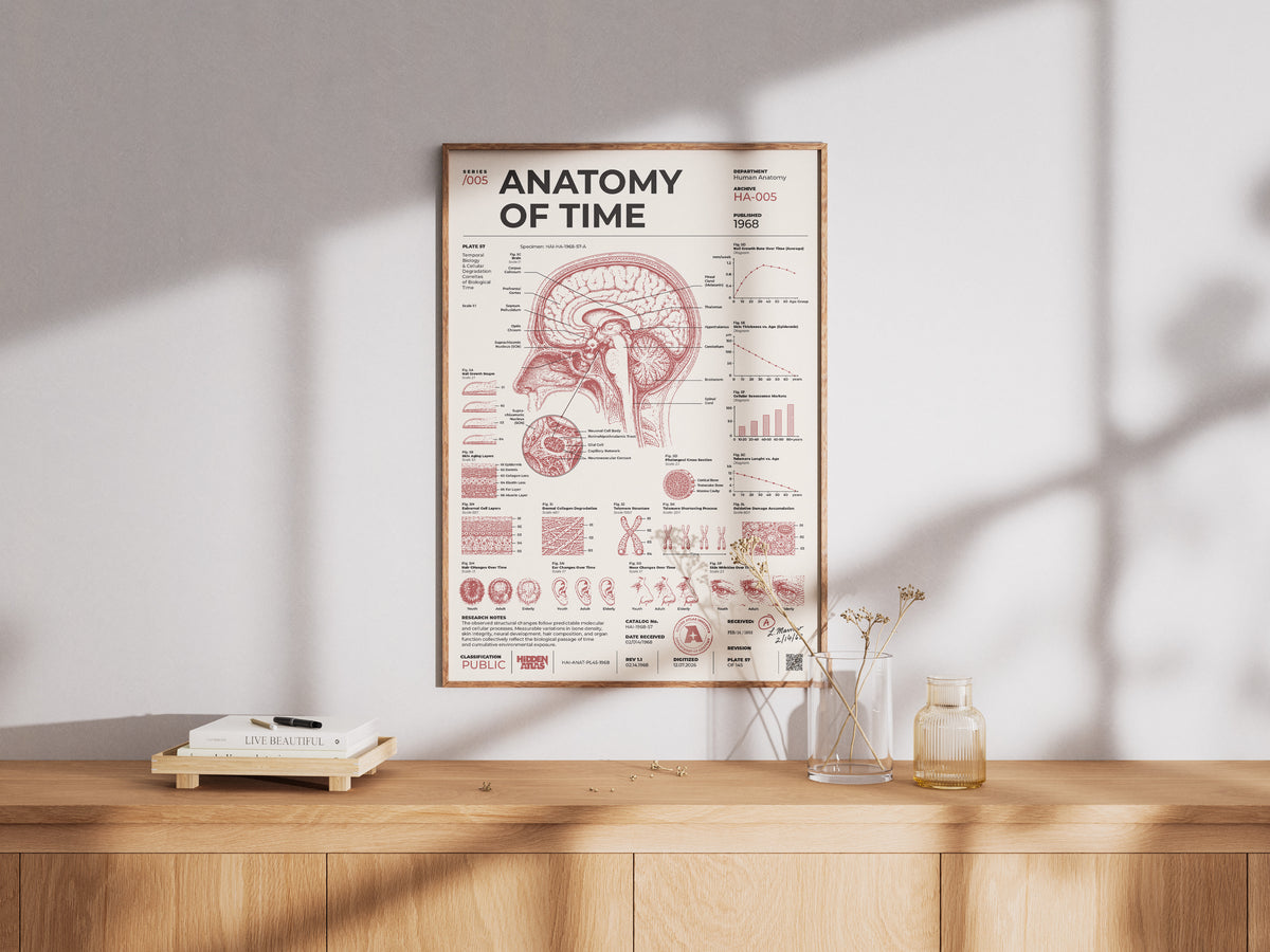 Anatomy of Time framed poster in a modern interior