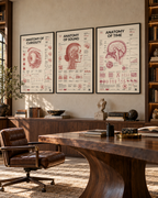 Hidden Atlas lifestyle interior visualization