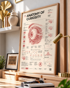 Anatomy of Curiosity framed poster with eye illustration in a lifestyle interior