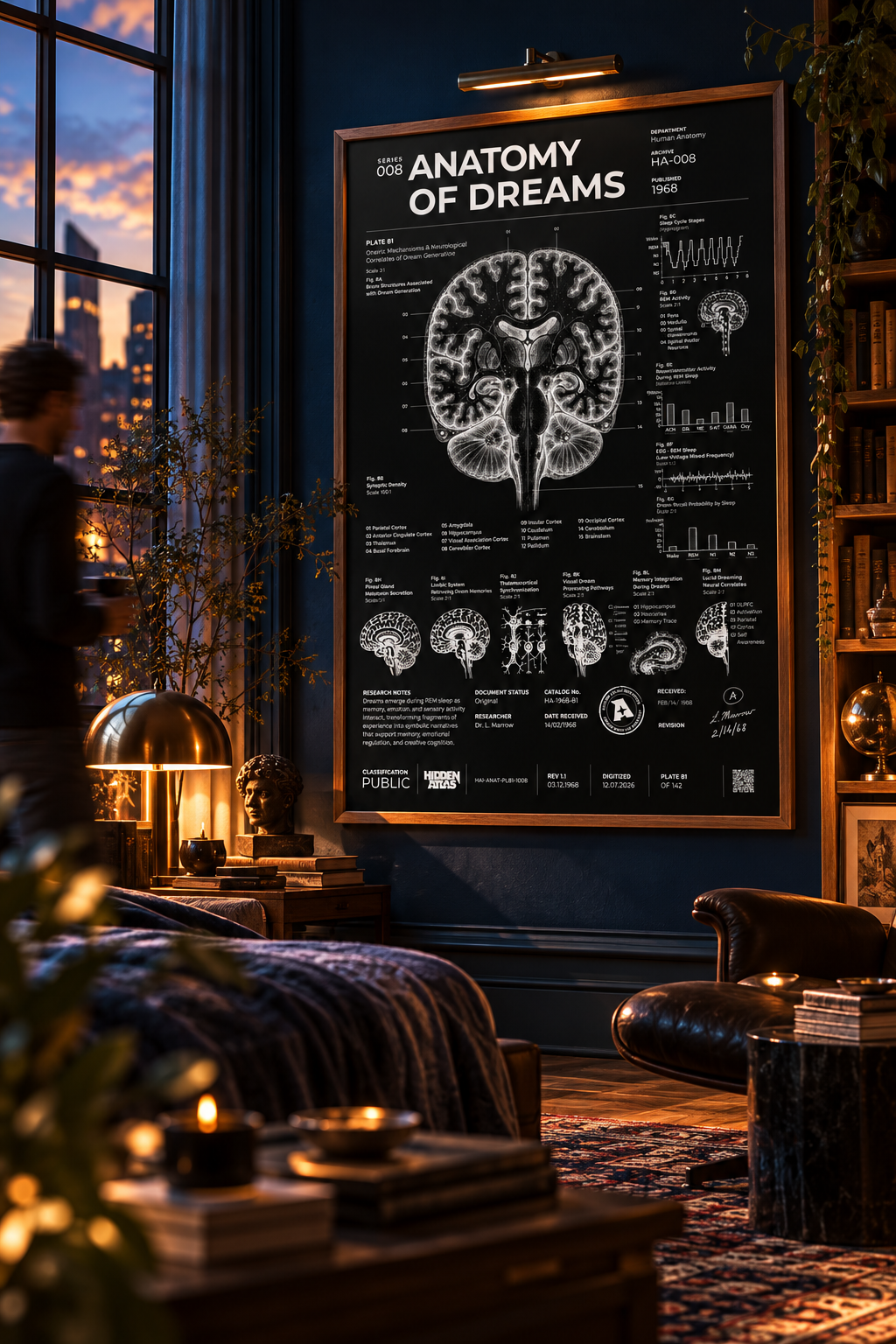 Anatomy of Dreams Negative Edition lifestyle view