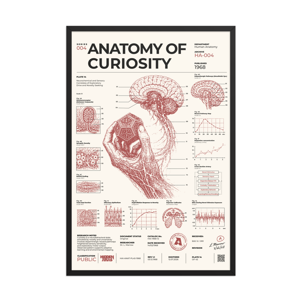 Anatomy of Curiosity framed poster, black frame, 24 × 36 in