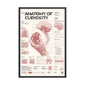 Anatomy of Curiosity framed poster, black frame, 24 × 36 in