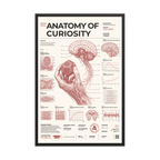 Anatomy of Curiosity framed poster, black frame, 24 × 36 in