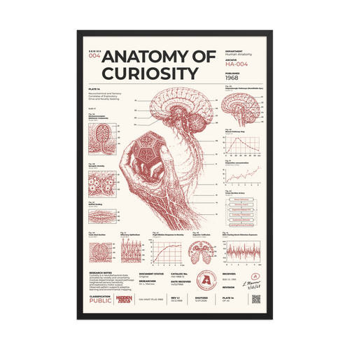 Anatomy of Curiosity framed poster, black frame, 24 × 36 in