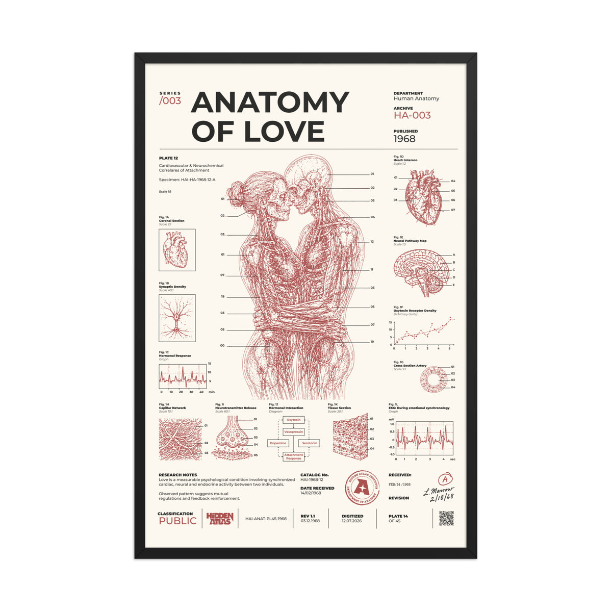 Anatomy of Love framed poster, black frame, 24 × 36 in