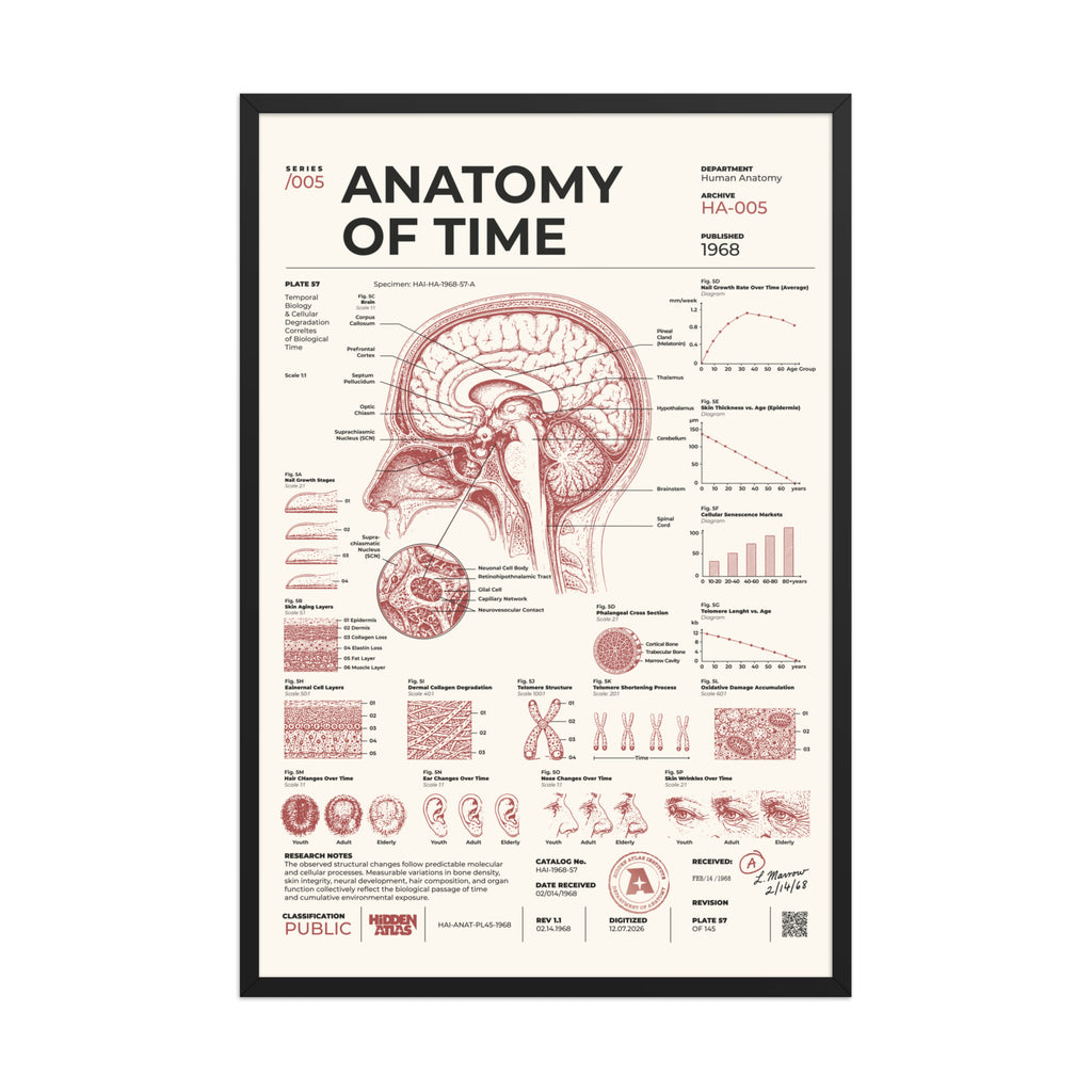 Anatomy of Time framed poster, black frame, 24 × 36 in