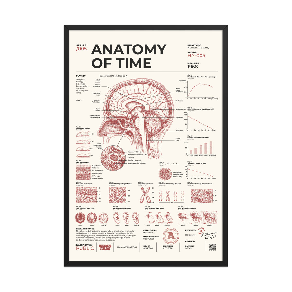 Anatomy of Time framed poster, black frame, 24 × 36 in