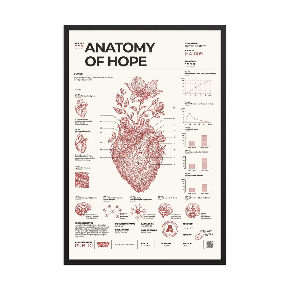 Anatomy of Hope framed poster, black frame, 24 × 36 in