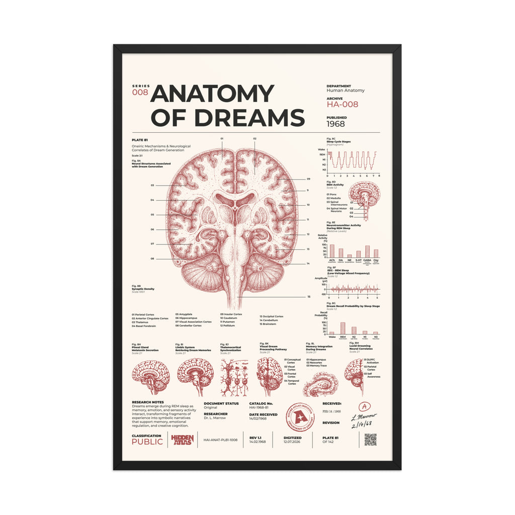 Anatomy of Dreams framed poster, black frame, 24 × 36 in