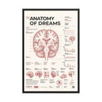Anatomy of Dreams framed poster, black frame, 24 × 36 in