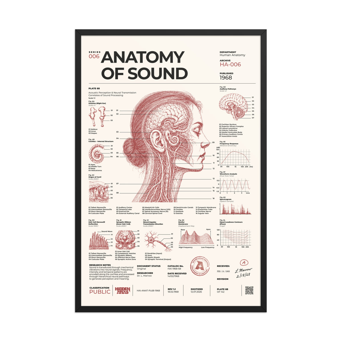 Anatomy of Sound framed poster, black frame, 24 × 36 in