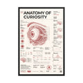 Anatomy of Curiosity framed poster, black frame, 24 × 36 in