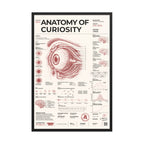 Anatomy of Curiosity framed poster, black frame, 24 × 36 in