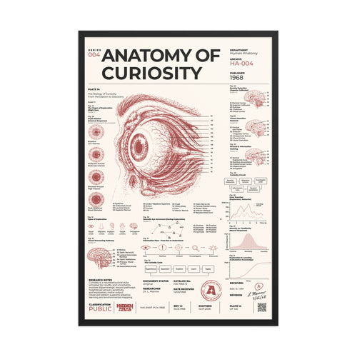 Anatomy of Curiosity framed poster, black frame, 24 × 36 in