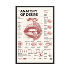 Anatomy of Desire framed poster, black frame, 24 × 36 in