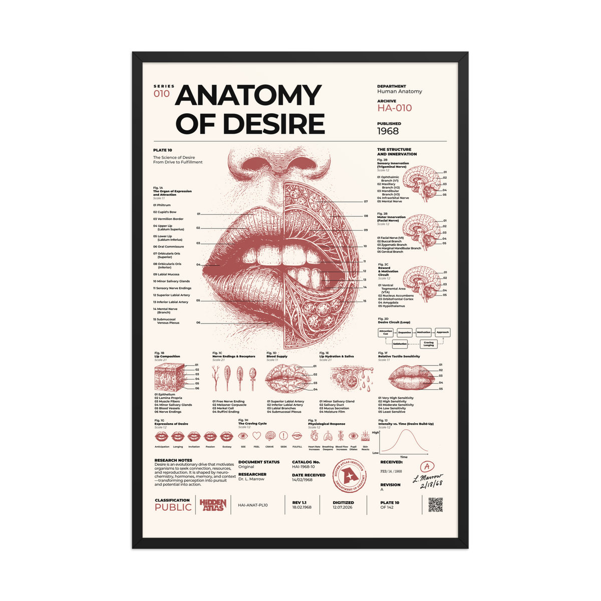 Anatomy of Desire framed poster, black frame, 24 × 36 in
