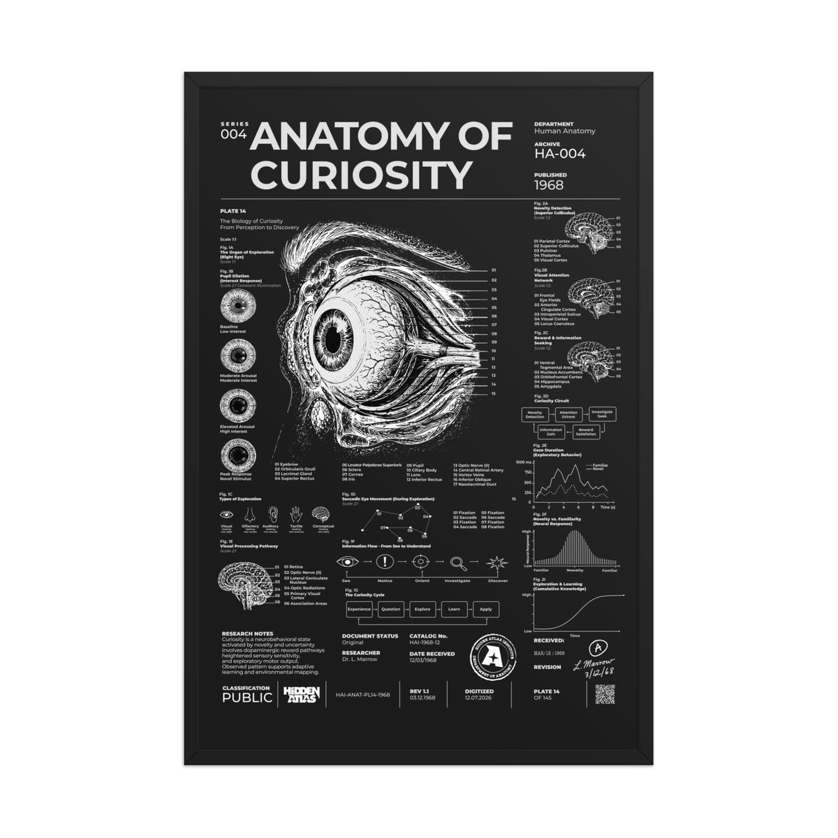Anatomy of Curiosity — Negative Edition framed poster, black frame, 24 × 36 in