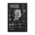 Anatomy of Sound — Negative Edition framed poster, black frame, 24 × 36 in