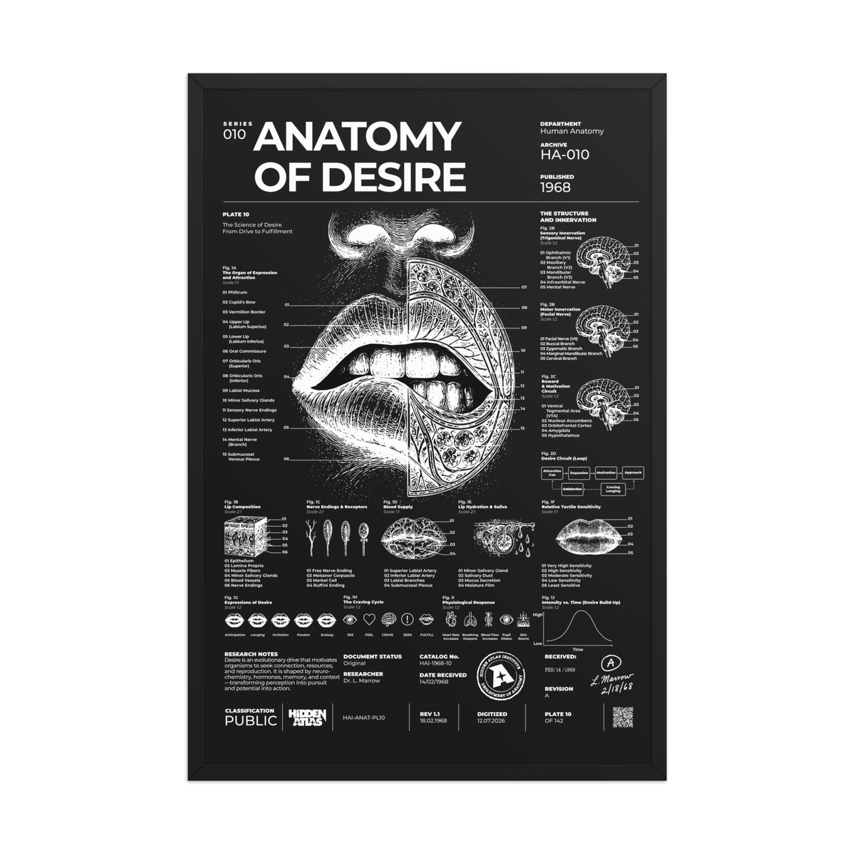 Anatomy of Desire — Negative Edition framed poster, black frame, 24 × 36 in
