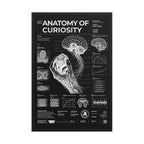 Anatomy of Curiosity — Negative Edition framed poster, black frame, 24 × 36 in