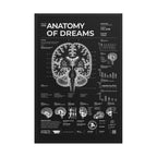Anatomy of Dreams — Negative Edition framed poster, black frame, 24 × 36 in
