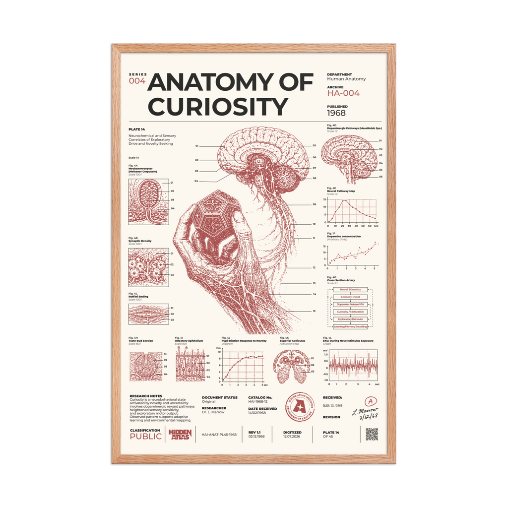 Anatomy of Curiosity framed poster, red oak frame, 24 × 36 in