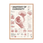 Anatomy of Curiosity framed poster, red oak frame, 24 × 36 in