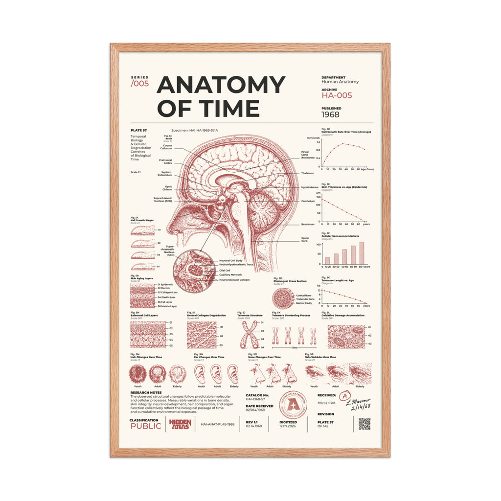 Anatomy of Time framed poster, red oak frame, 24 × 36 in