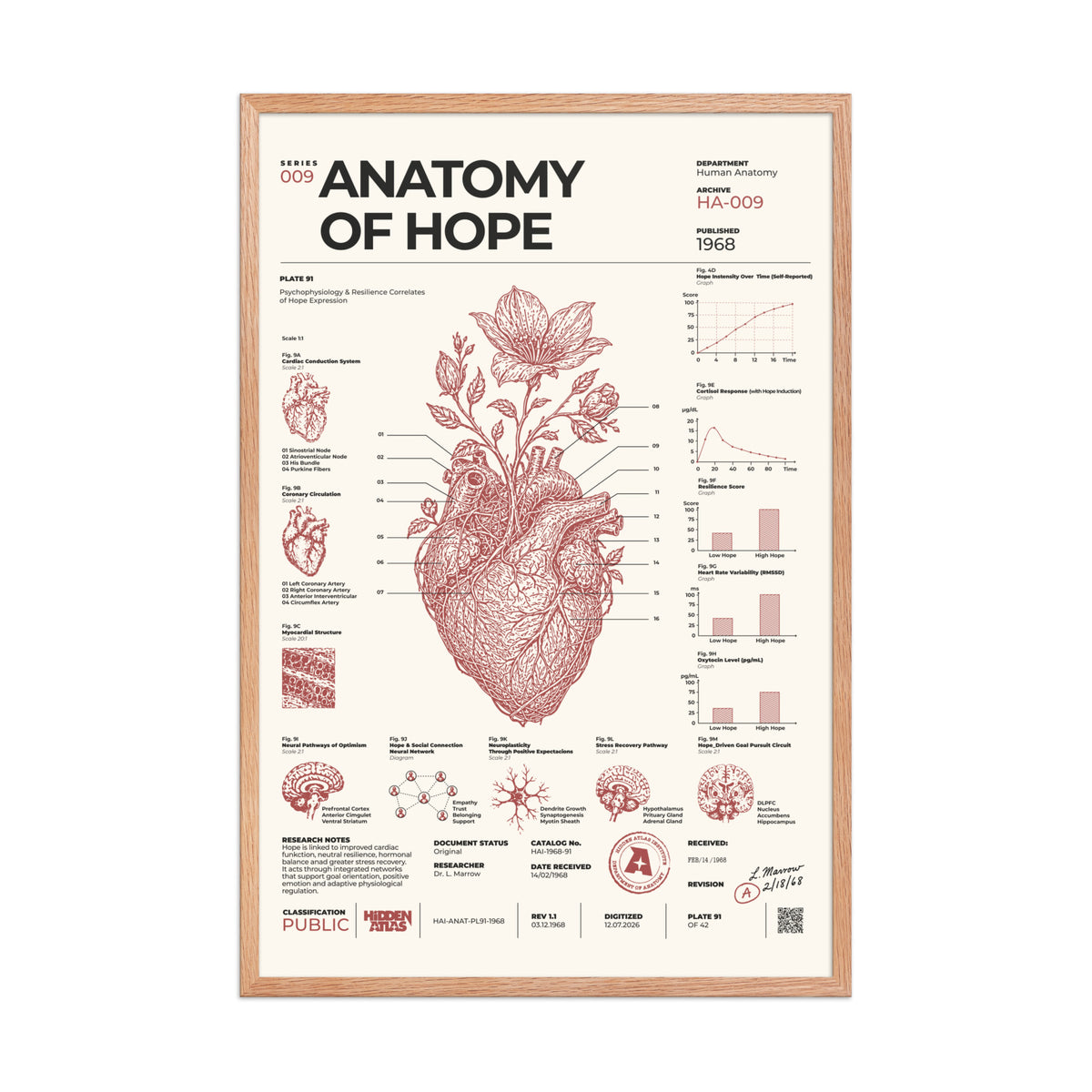 Anatomy of Hope framed poster, red oak frame, 24 × 36 in