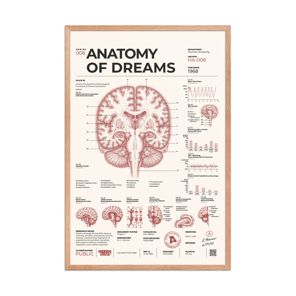 Anatomy of Dreams framed poster, red oak frame, 24 × 36 in