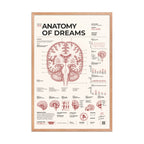 Anatomy of Dreams framed poster, red oak frame, 24 × 36 in