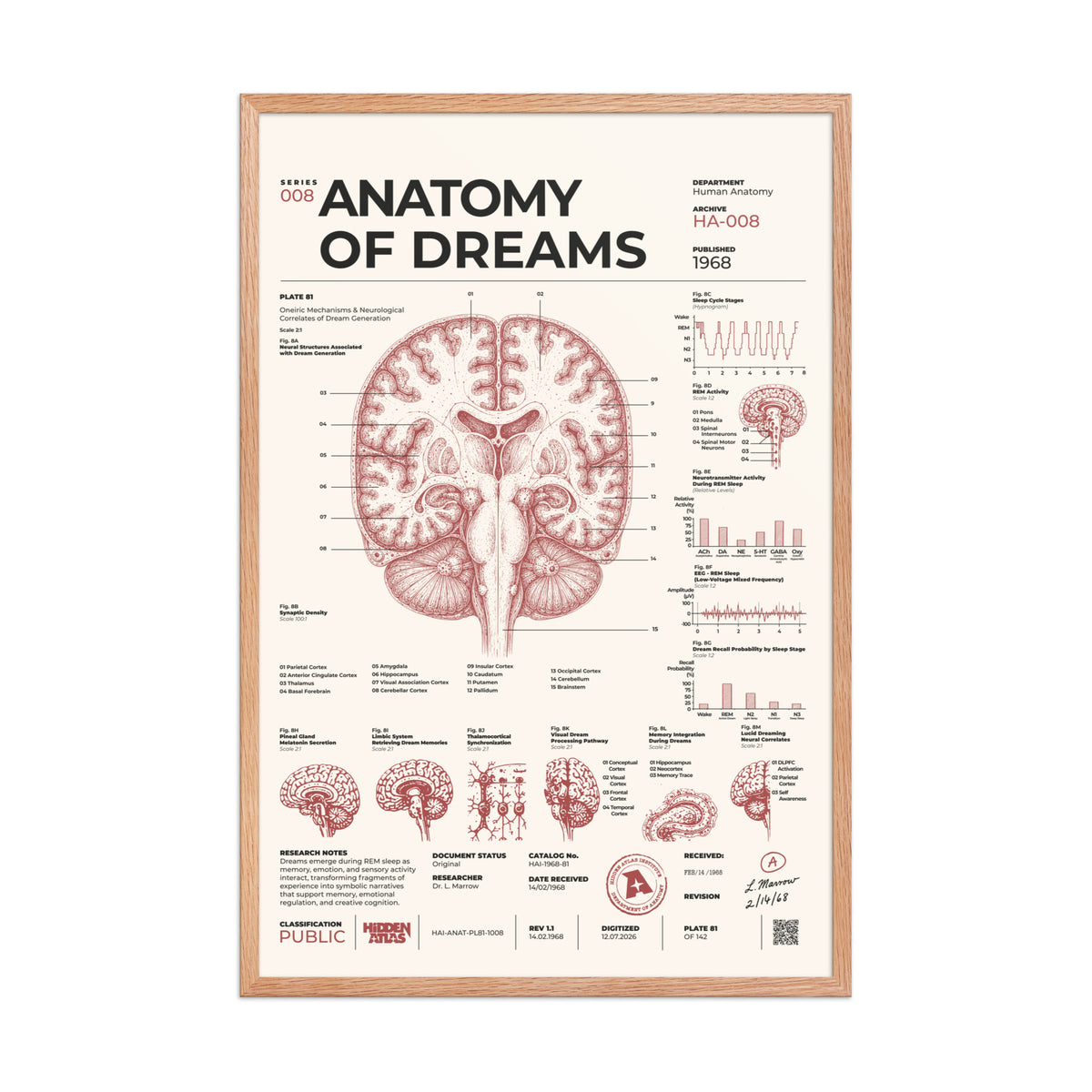 Anatomy of Dreams framed poster, red oak frame, 24 × 36 in