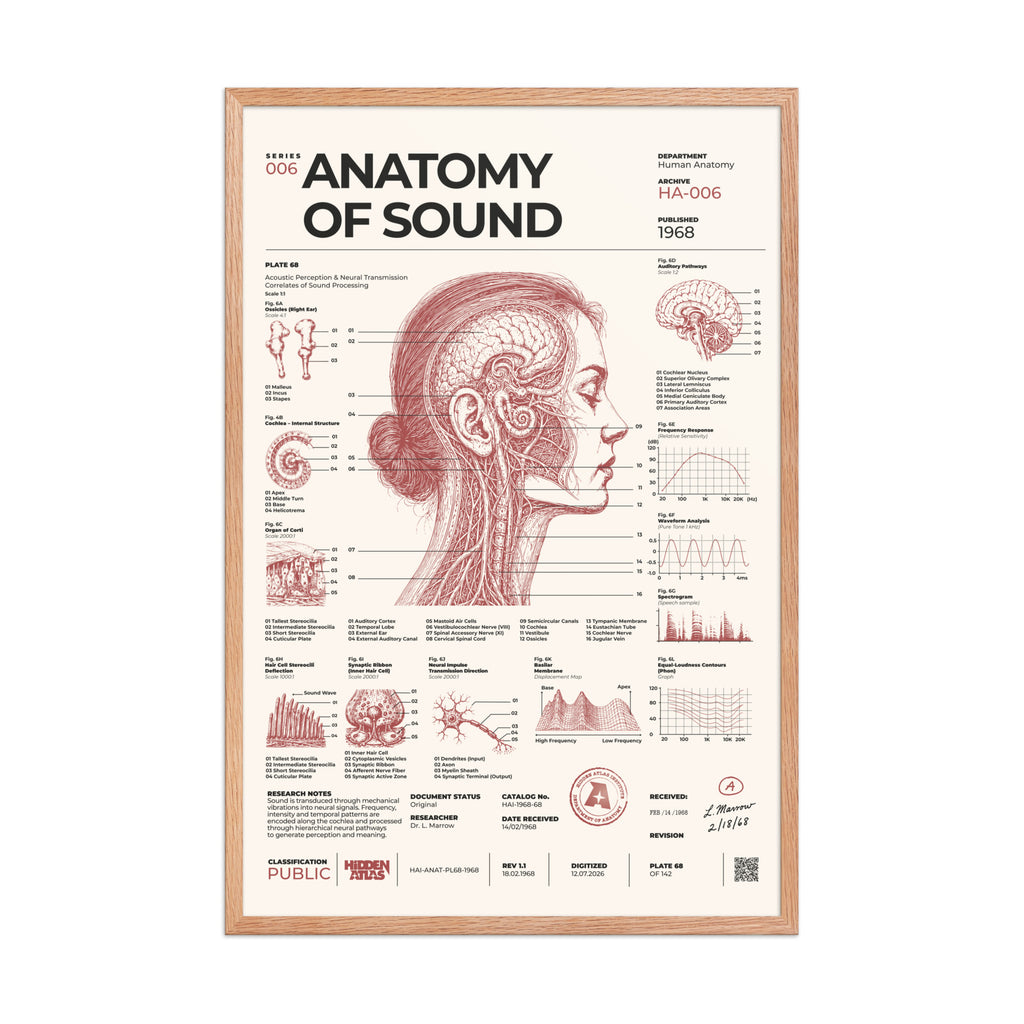 Anatomy of Sound framed poster, red oak frame, 24 × 36 in