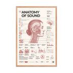 Anatomy of Sound framed poster, red oak frame, 24 × 36 in