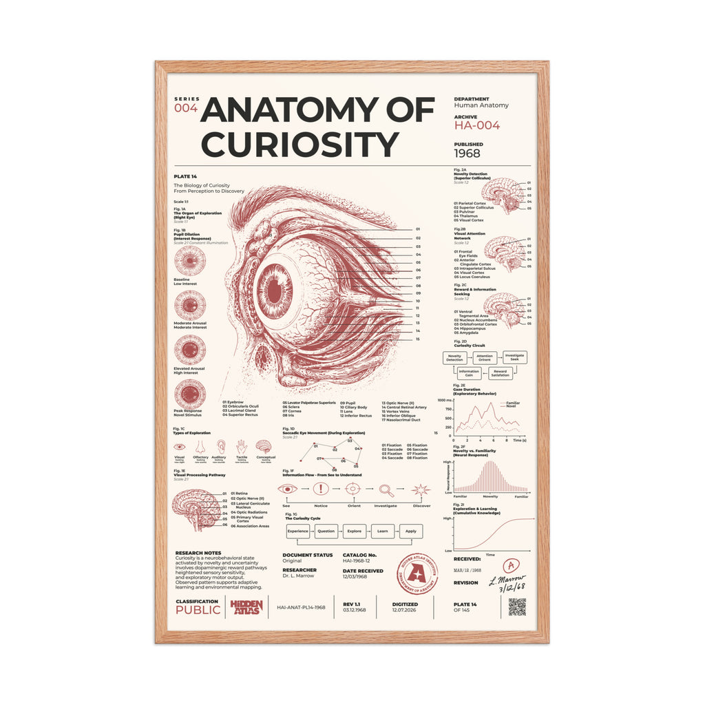 Anatomy of Curiosity framed poster, red oak frame, 24 × 36 in