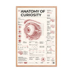 Anatomy of Curiosity framed poster, red oak frame, 24 × 36 in