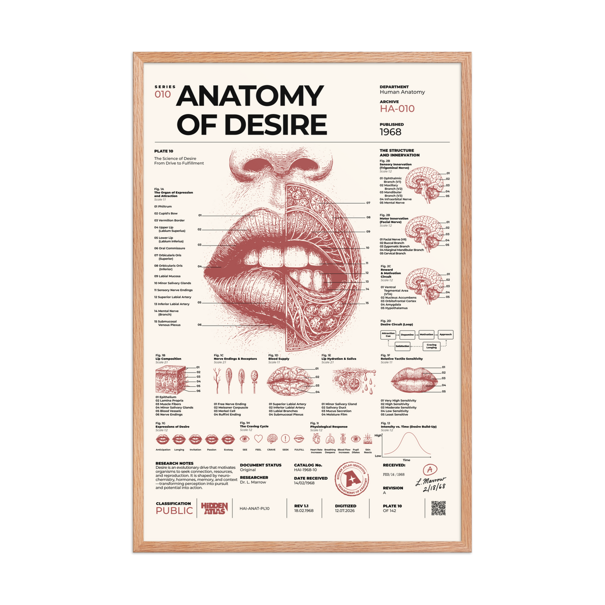 Anatomy of Desire framed poster, red oak frame, 24 × 36 in