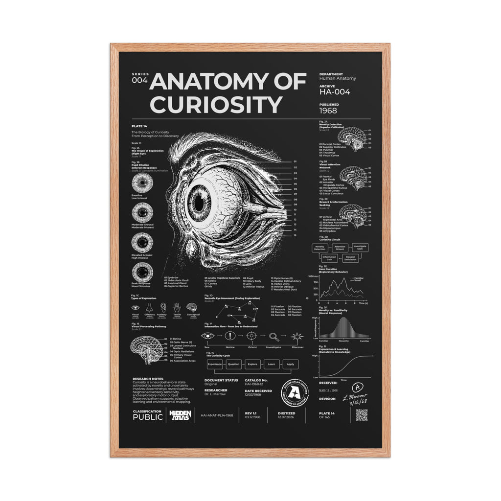 Anatomy of Curiosity — Negative Edition framed poster, red oak frame, 24 × 36 in