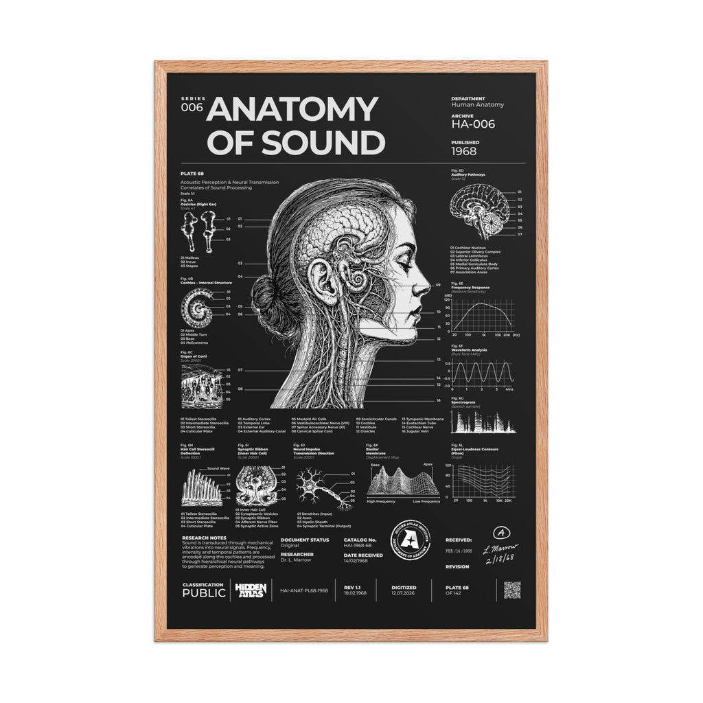 Anatomy of Sound — Negative Edition framed poster, red oak frame, 24 × 36 in
