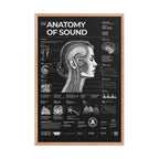 Anatomy of Sound — Negative Edition framed poster, red oak frame, 24 × 36 in