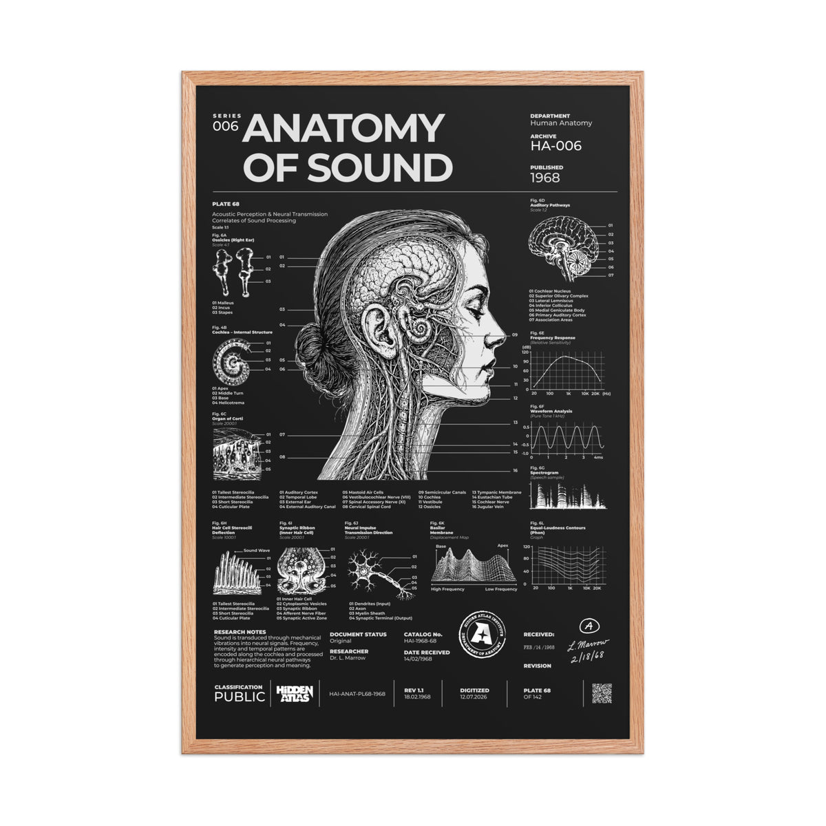 Anatomy of Sound — Negative Edition framed poster, red oak frame, 24 × 36 in